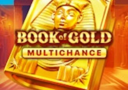 Book of Gold Multichance — slot Rocket Riches